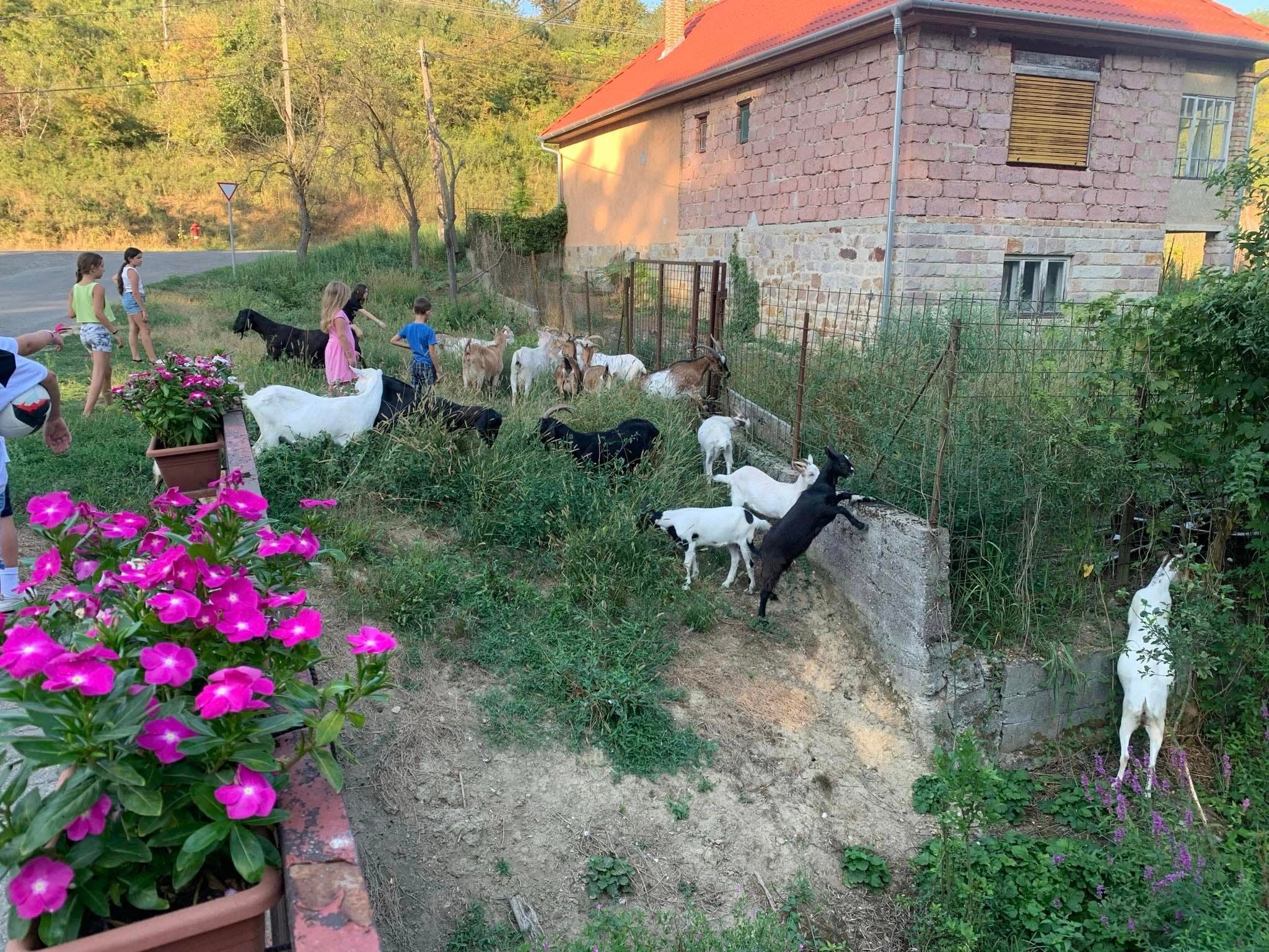 Tábor